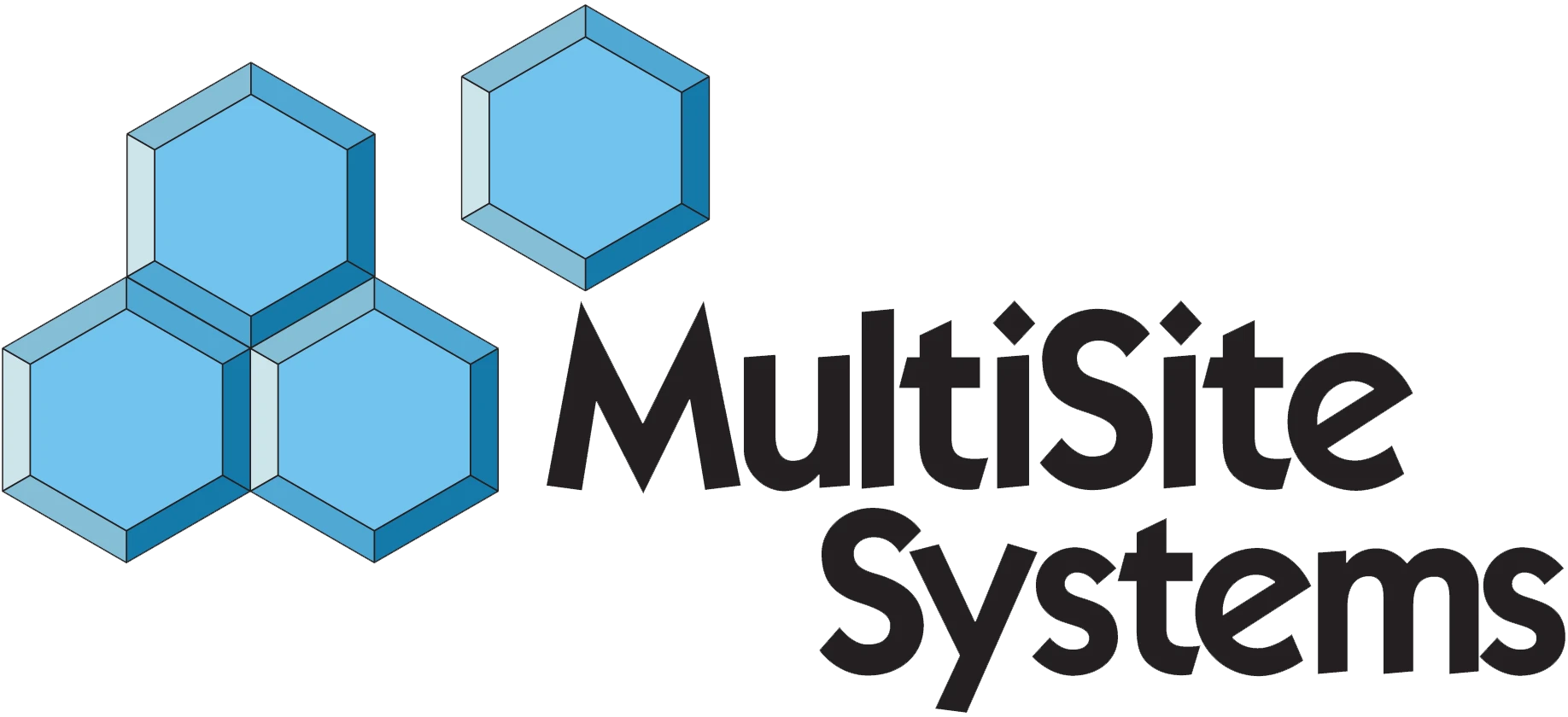 imgi_5_MultiSiteSystemsLogo